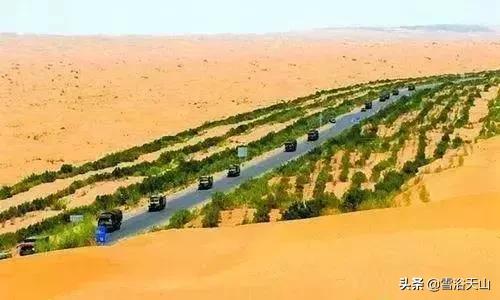 新疆若羌县祁曼塔格乡有多大,最大的县城若羌县