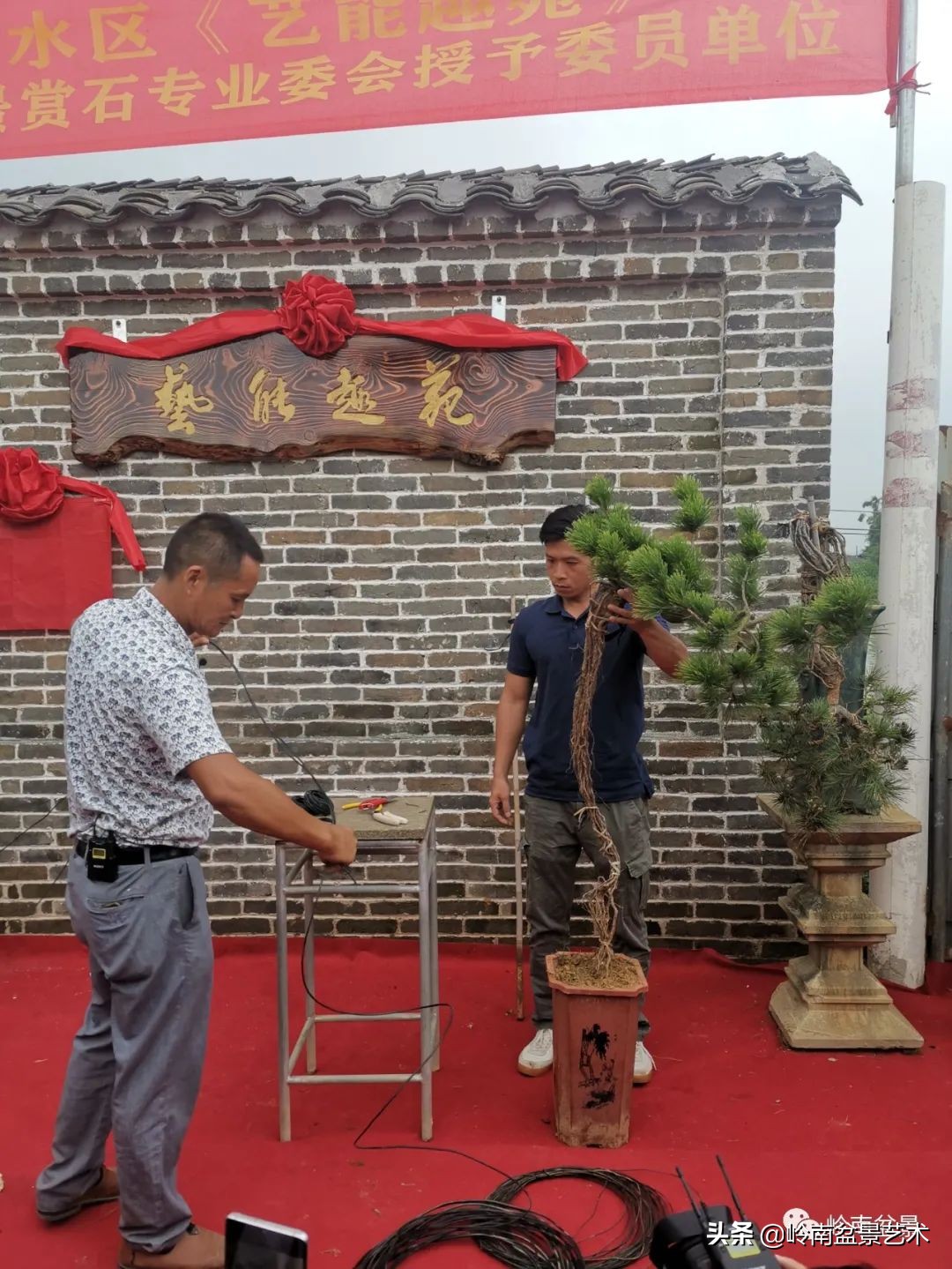 绿色金融业务发展好的银行,绿色银行的前景