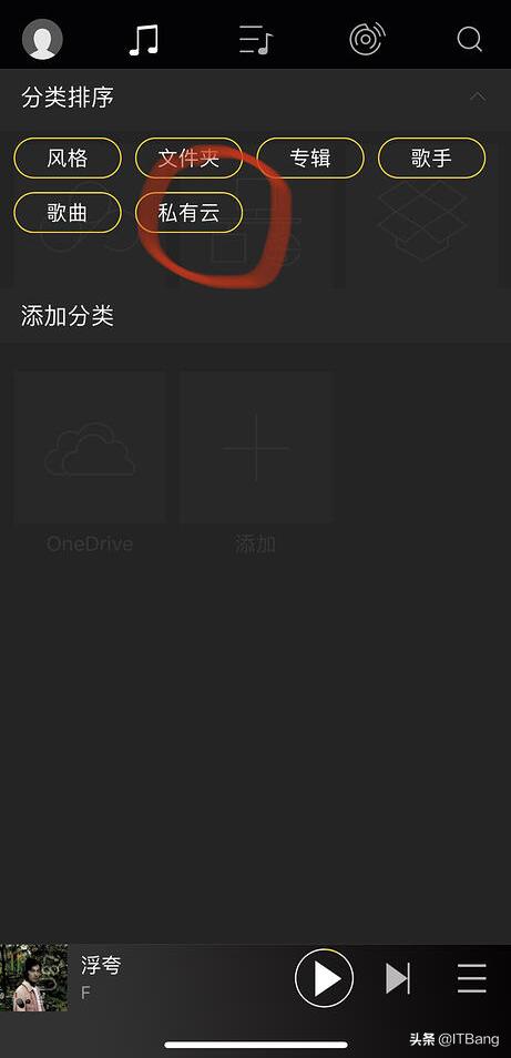 专为HiFi设计,支持从百度网盘、OneDrive直接*放播**无损音乐*放播**器