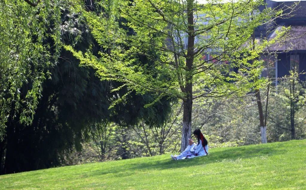 东软，青城山下最大的养老院型综合网吧