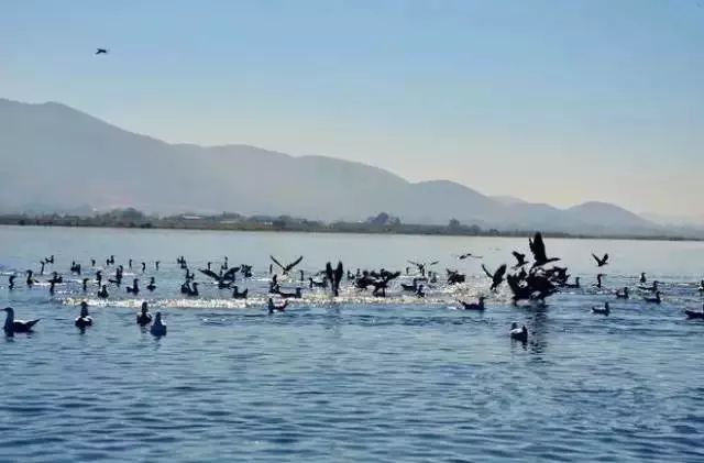 缅甸是一个让人着迷的地方,缅甸这个国家的特色