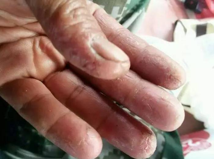 海钓面饵和冻饵哪个效果好,海钓面饵适合在什么地方使用