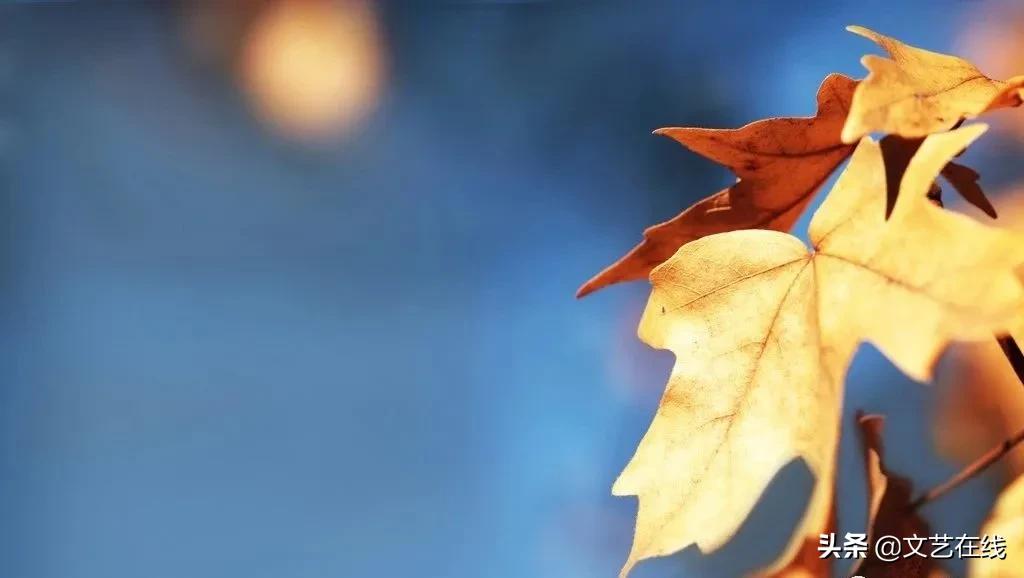 金谷诗社第二期社课作品“落叶”展播