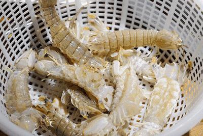 巽寮湾海旅度假,巽寮湾海世界无边际