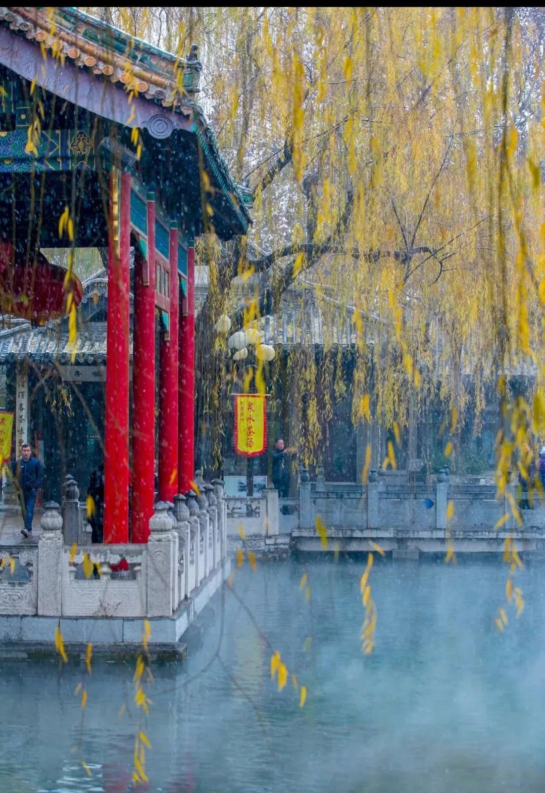 济南的冬天朗诵,济南的冬天作文