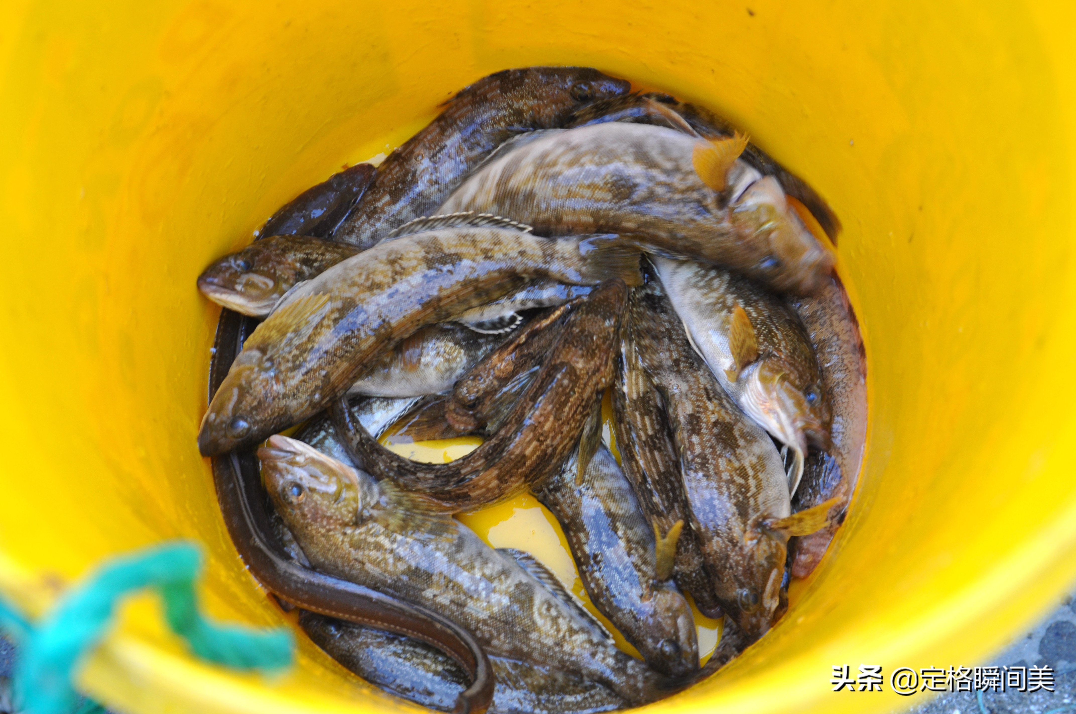 青岛哪个码头海鲜便宜又好,青岛海鲜码头海鲜