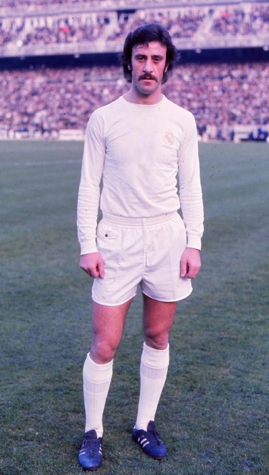 西班牙老帅博斯克,2010年西班牙主教练博斯克