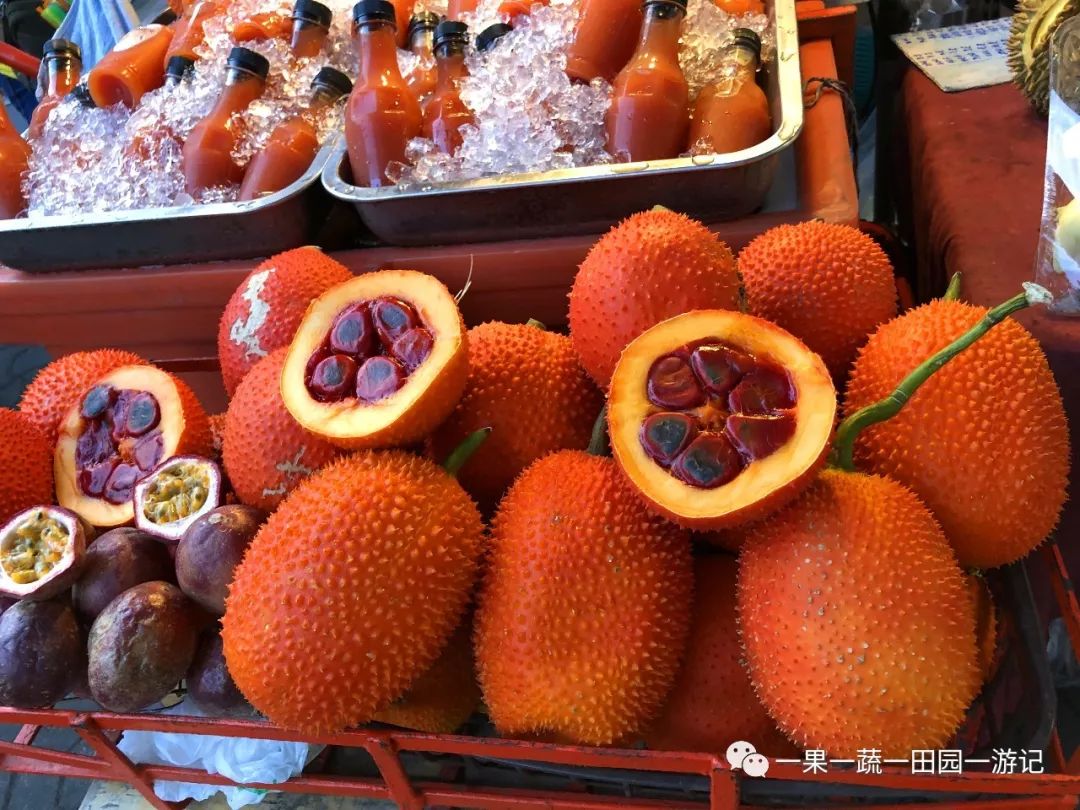 2个120岁一句英语都不会的老人·泰国自由行