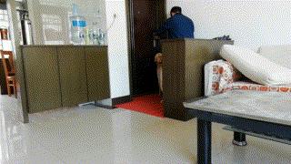 小狗老是跳起来双腿推主人,小狗跳起来咬大狗脚