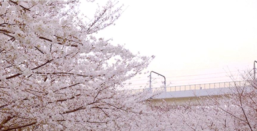 五月份上海有什么新消息,上海4月份有哪些消息