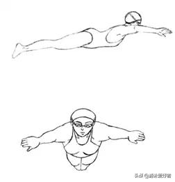 蛙泳比赛技巧,游蛙泳的技巧