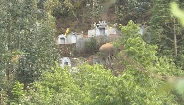 云南大象为什么往北迁徙,云南大象迁徙小象艰难爬出水沟