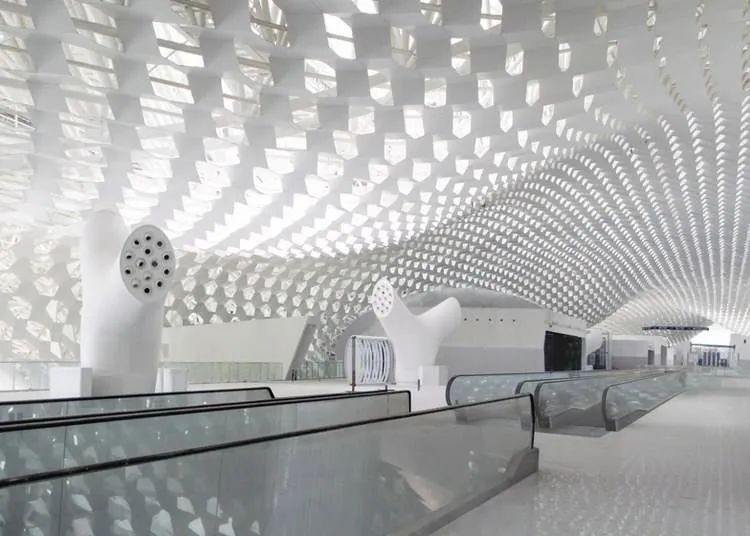 密集恐惧症是一种矫情,密集恐惧症被治愈了