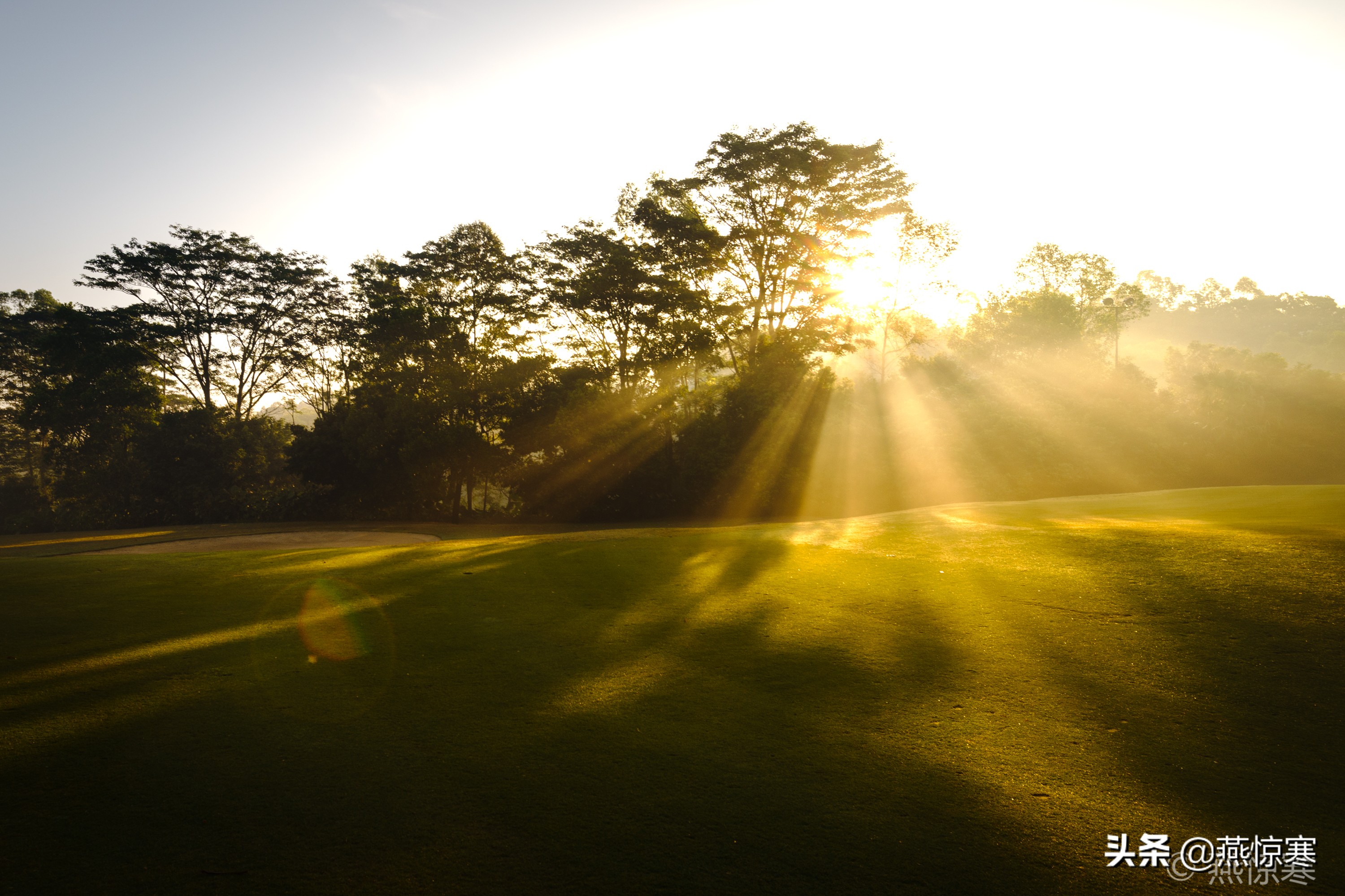 盘点一下我这些年用过的相机,回顾我用过的数码相机