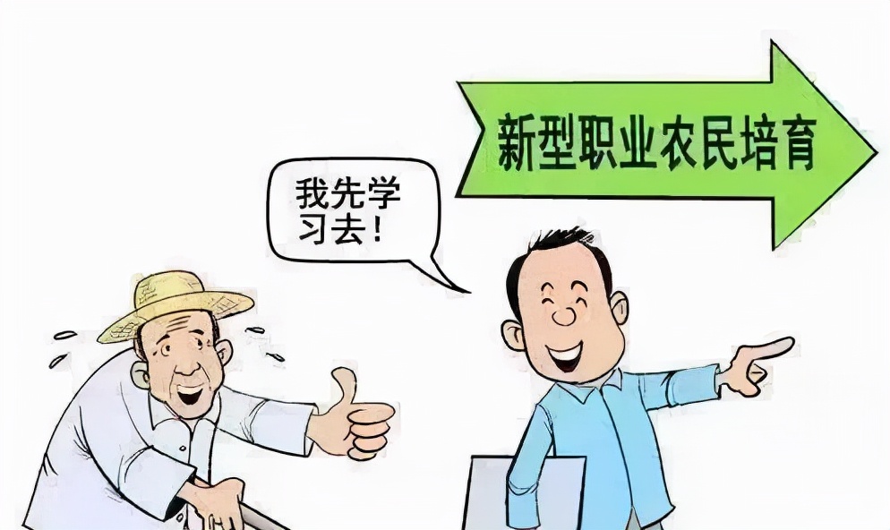 农产品物流运输及费用问题,农产品运输方法和运营方式