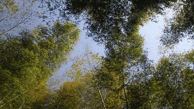 无锡好吃的又好看的餐厅推荐,舌尖上的无锡美食全集