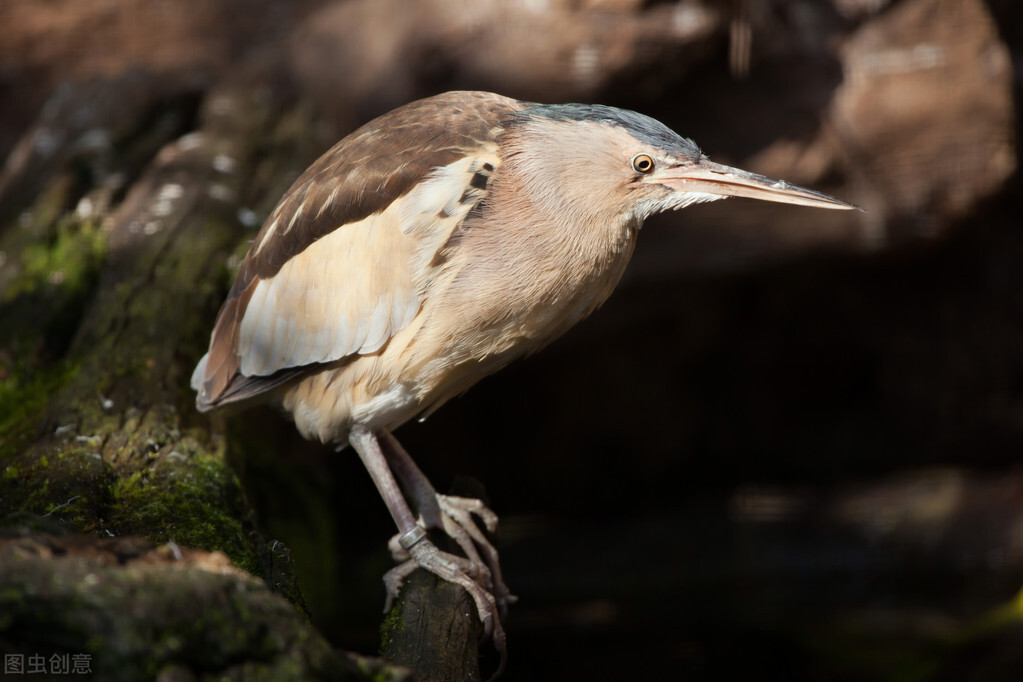 pcb行业趋势分析2022,pcb失效分析经典案例