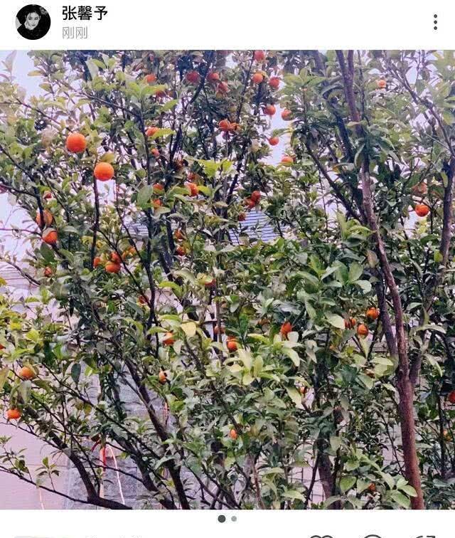 军嫂张馨予网购消毒液被骗？收到两空瓶，要维权发现店铺不见了