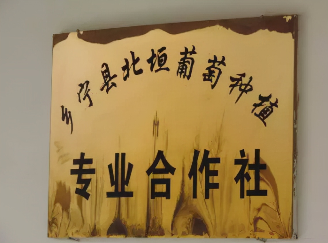 戎子酒庄一箱六瓶红酒,戎子酒庄在中国的地位