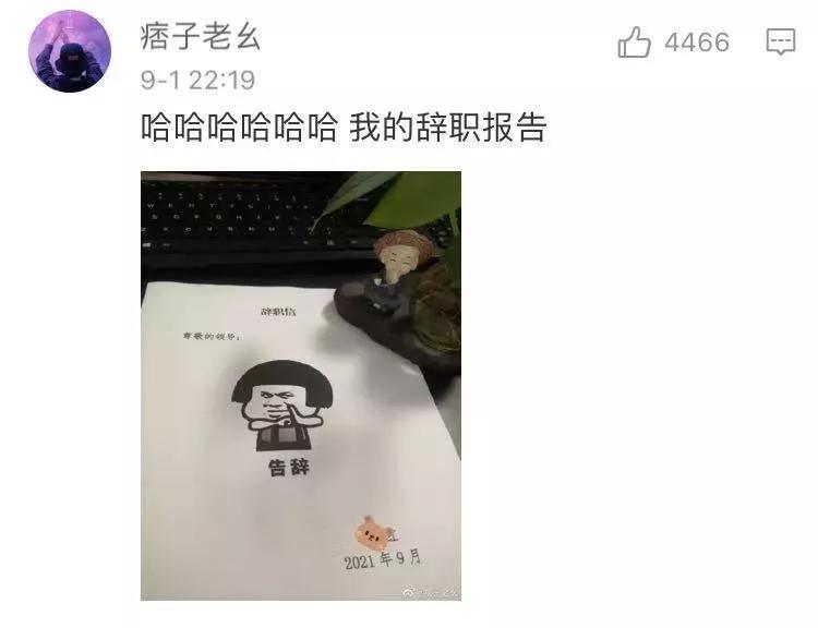 买lv被嘲,买lv被嫌弃