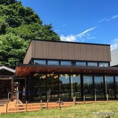 第一次去日本旅游好还是跟团好,第一次去日本跟团