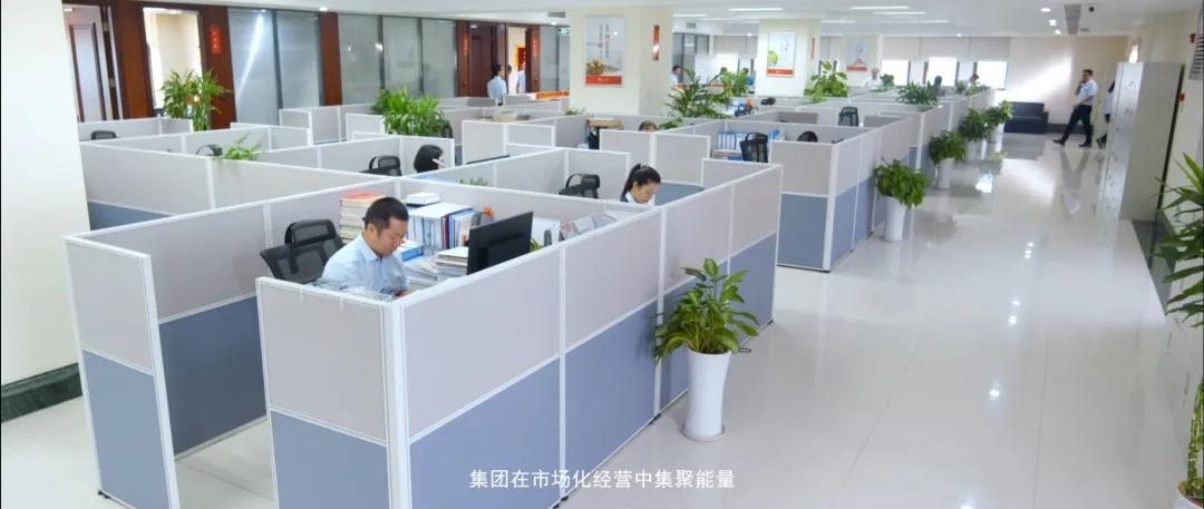 重庆市兴农担保集团,重庆兴农担保集团