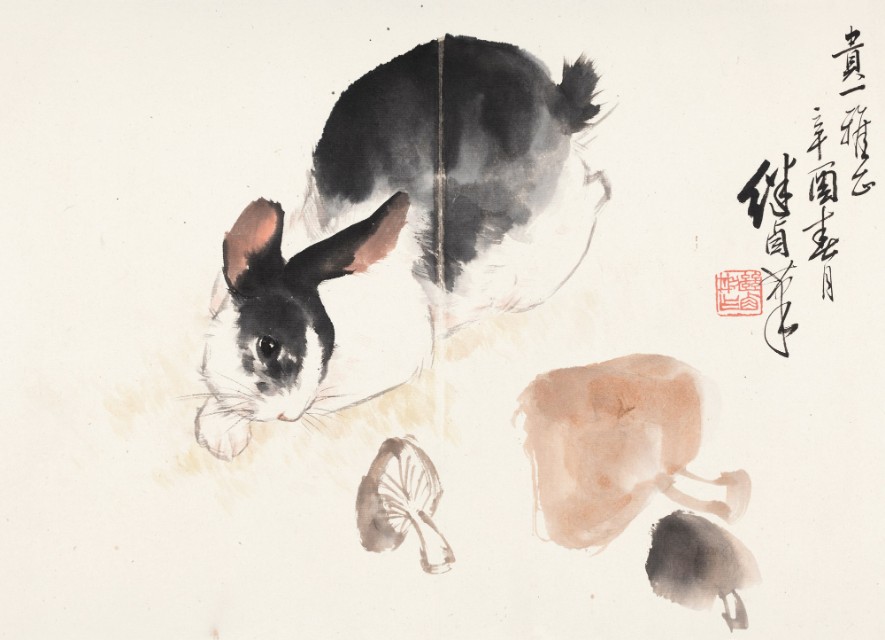 关于动物的作文优美段落摘抄,描写动物的好段落摘抄60个字