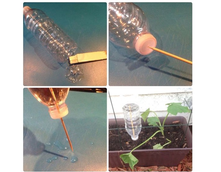 出差旅行利用什么可以自动浇花,大瓶矿泉水瓶浇花