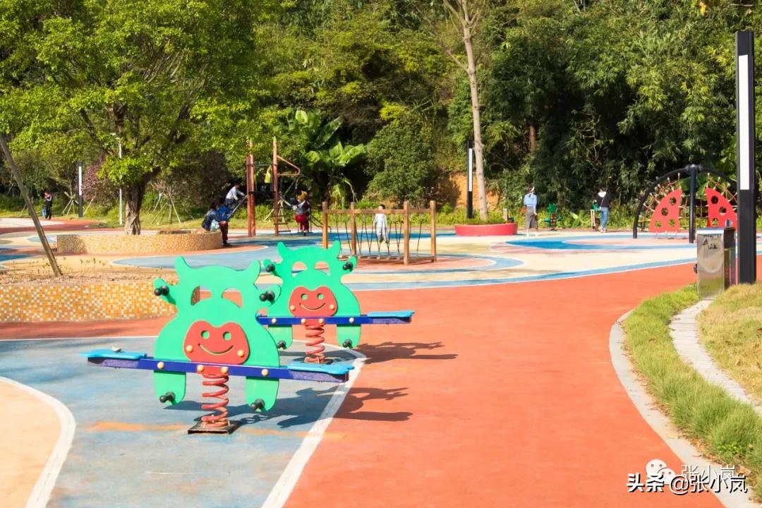 藏在森林里的儿童乐园,韶关市森林公园儿童游玩项目