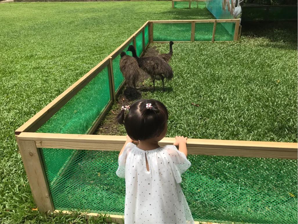 长隆飞鸟乐园拍鸟攻略,广州长隆飞鸟乐园可以摸哪些鸟