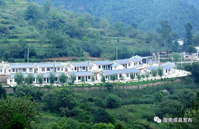 我叫成县，这是我2019年的自拍照~