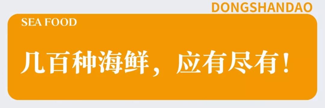 告别北上广：女白领朋友圈直播捕鱼，看了才知道什么是硬核海鲜