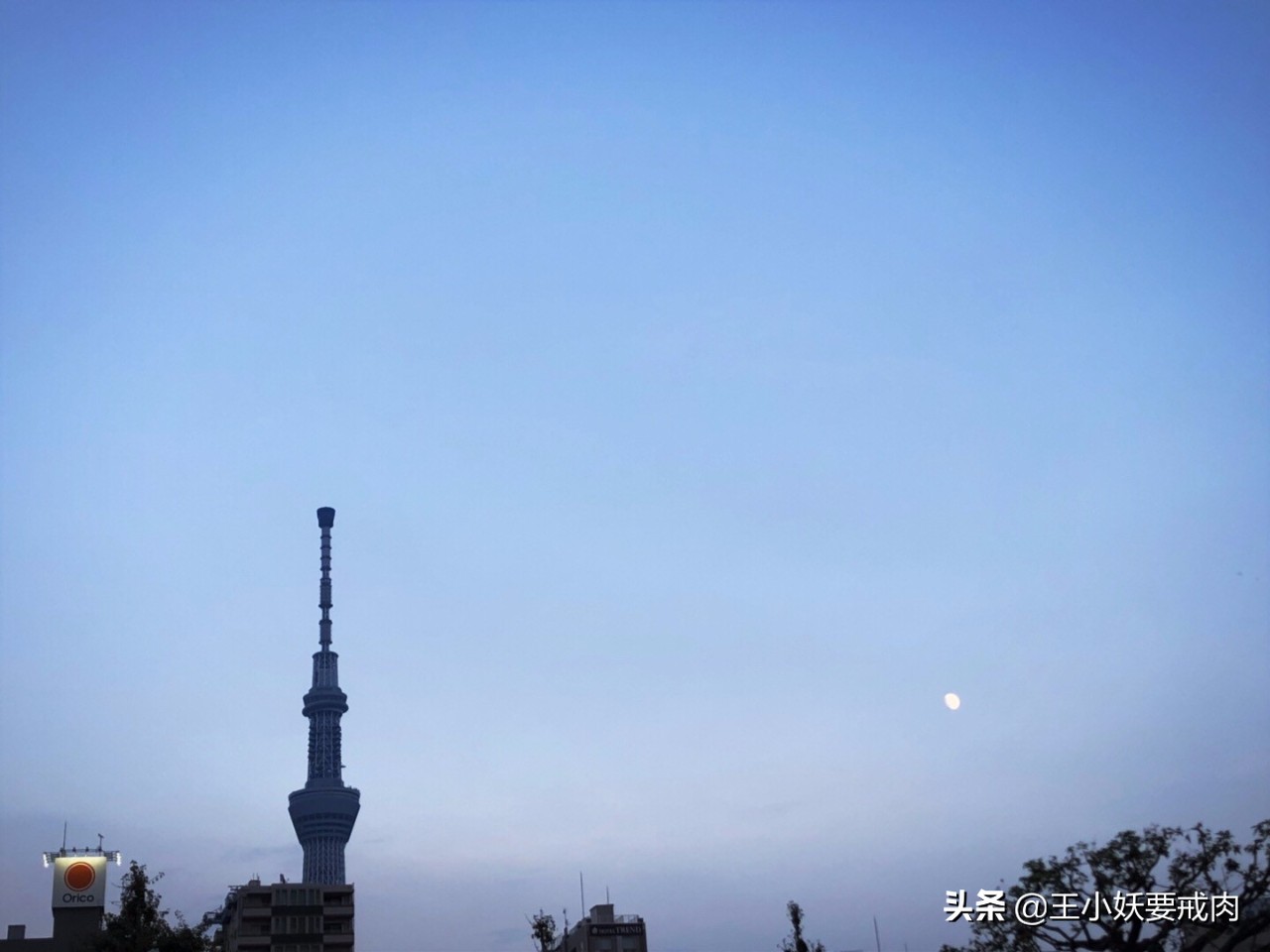 日本攻略自由行大阪,日本自由行攻略东京京都大阪