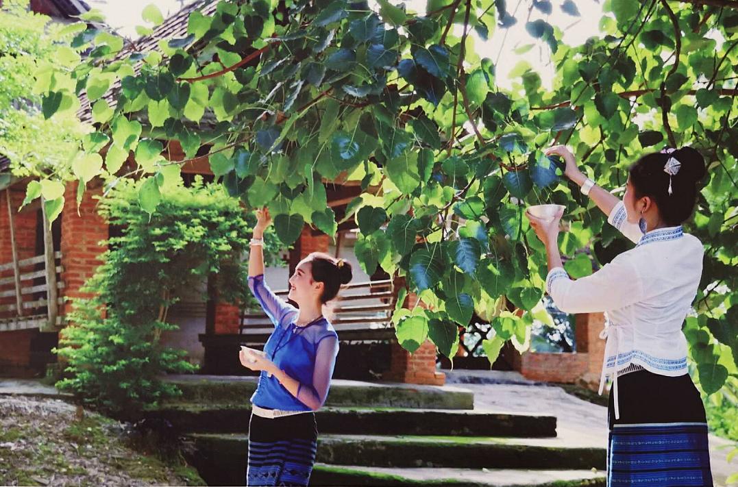 了解西双版纳的风俗和民族文化,西双版纳哈尼族特色民族文化