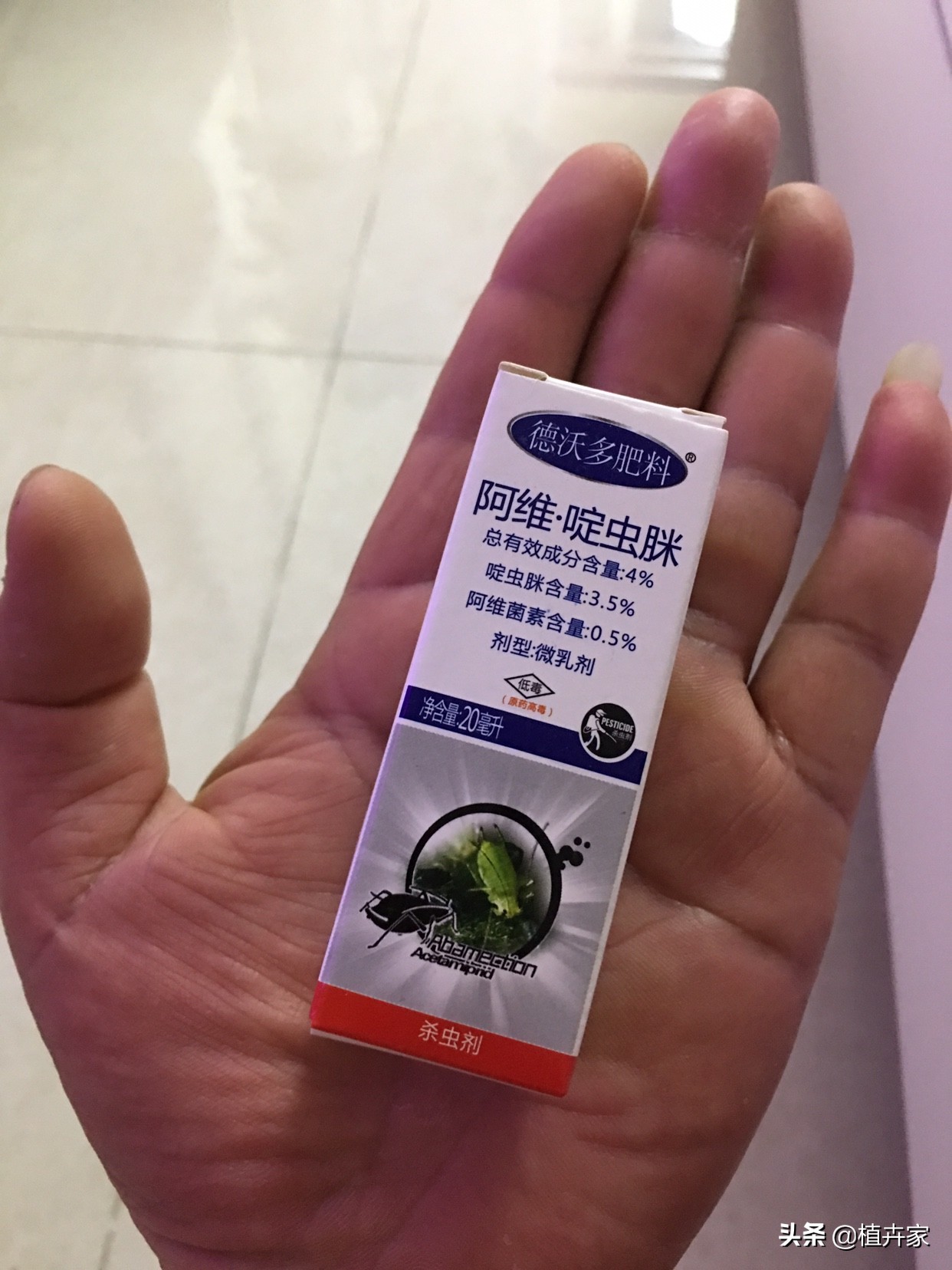 柠檬树有虫子怎么治,柠檬树有虫用什么药