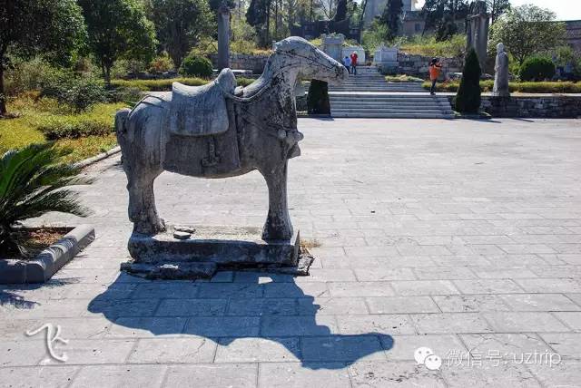 桂林兴安漠川银杏最佳观赏时间,桂林兴安漠川银杏网红打卡地