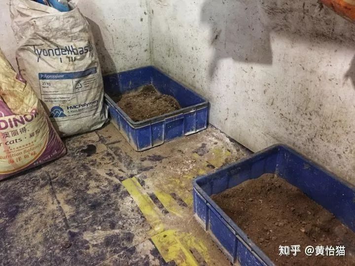 淘宝一斤猫粮多少钱,淘宝猫粮什么牌子好又便宜