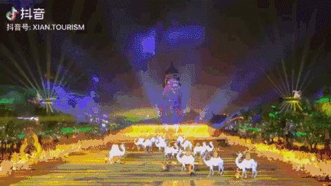 陕西历史博物馆视频高级感,陕西历史博物馆唯美视频