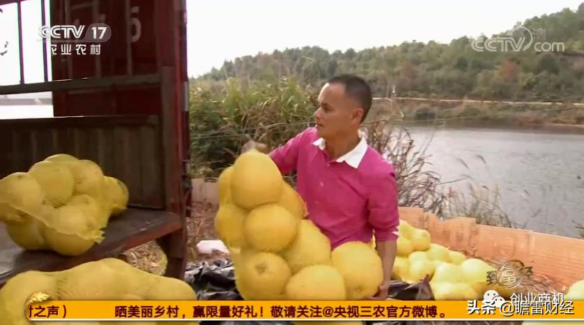 无本钱大学生创业,无本生意大学生