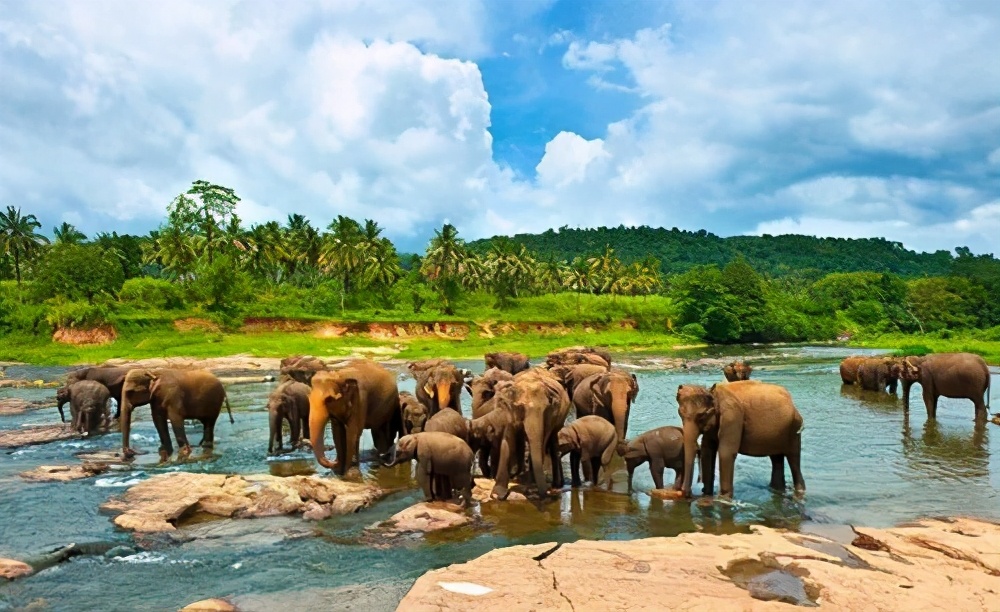 斯里兰卡锡兰明珠,印度洋的明珠科伦坡