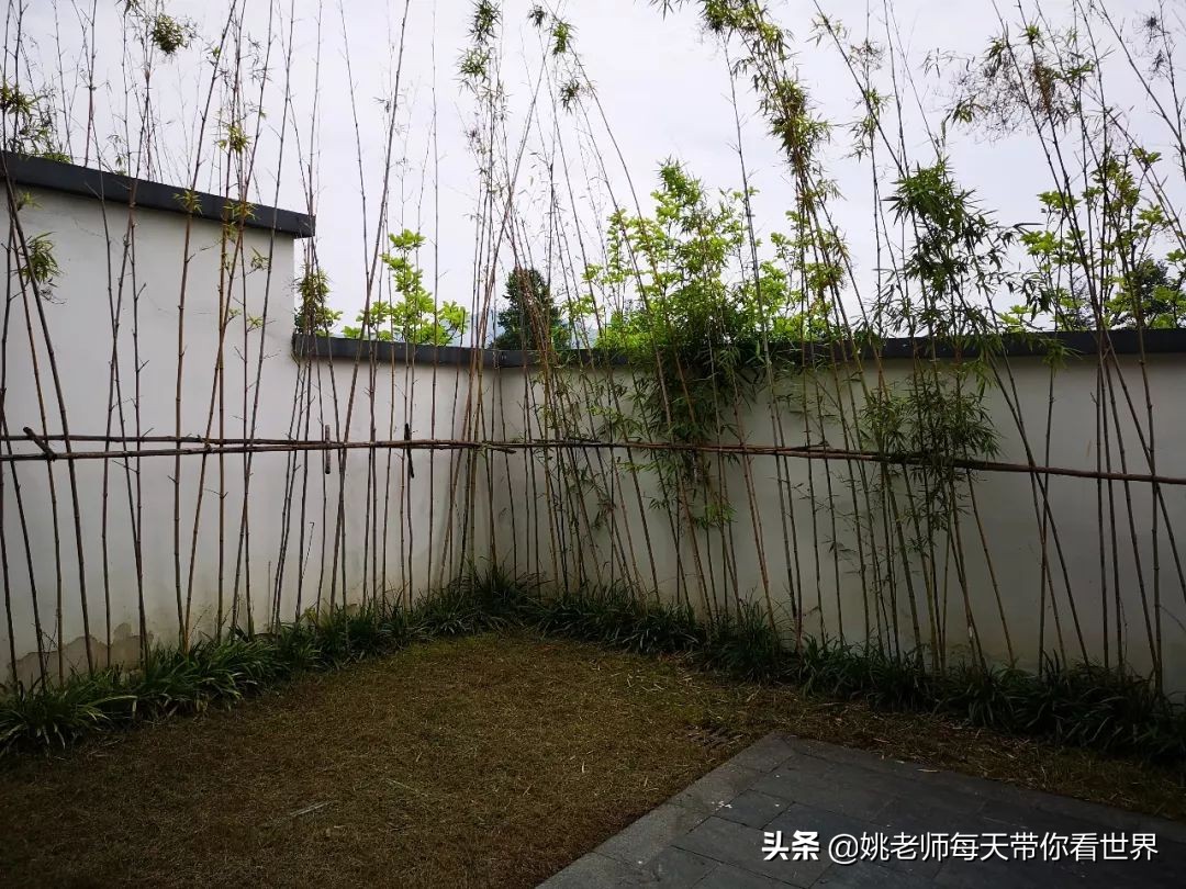 早晨的黄山悦榕庄,黄山悦榕庄特点