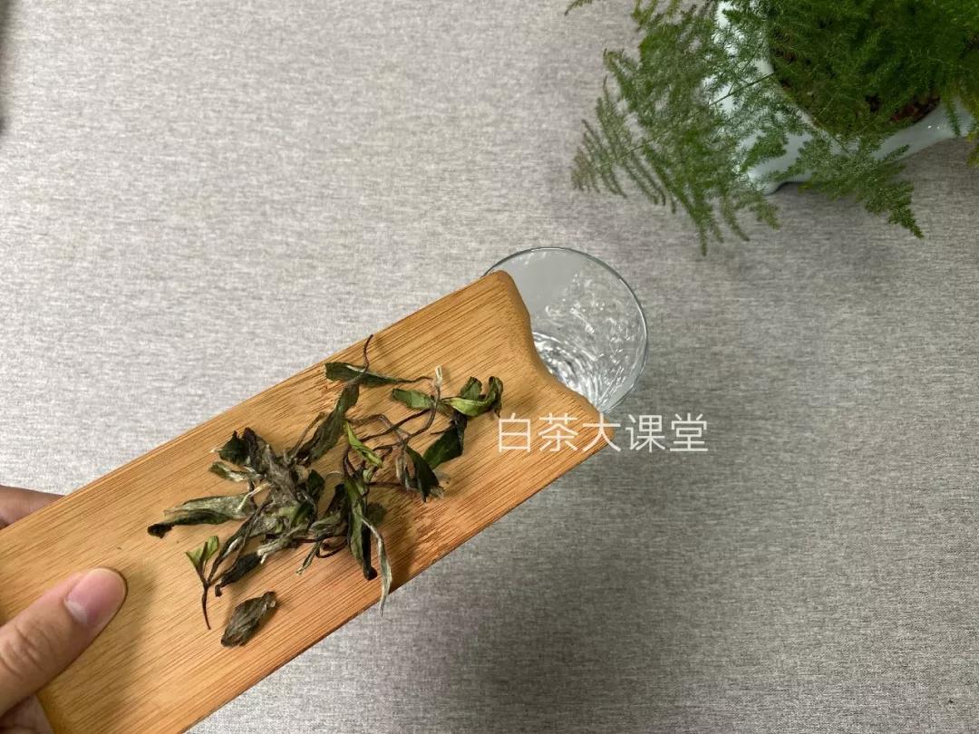 最香的大碗茶是什么茶,大碗茶冲泡视频