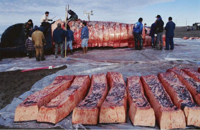 爱斯基摩人的起源,爱斯基摩人有哪些传说