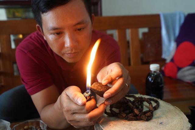 越南芽庄沉香与海南沉香的区别,越南沉香实地考察