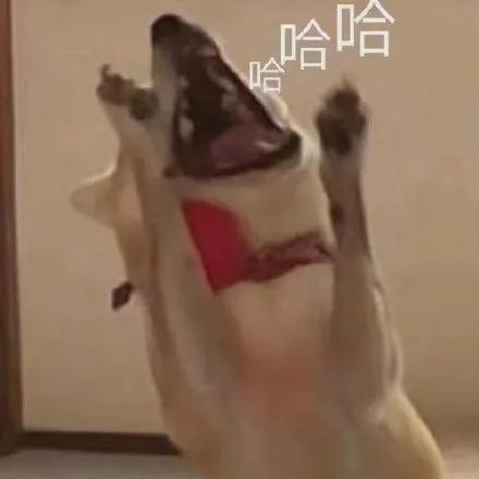 KPMG又栽跟头了,好一个流年不顺的KPMG