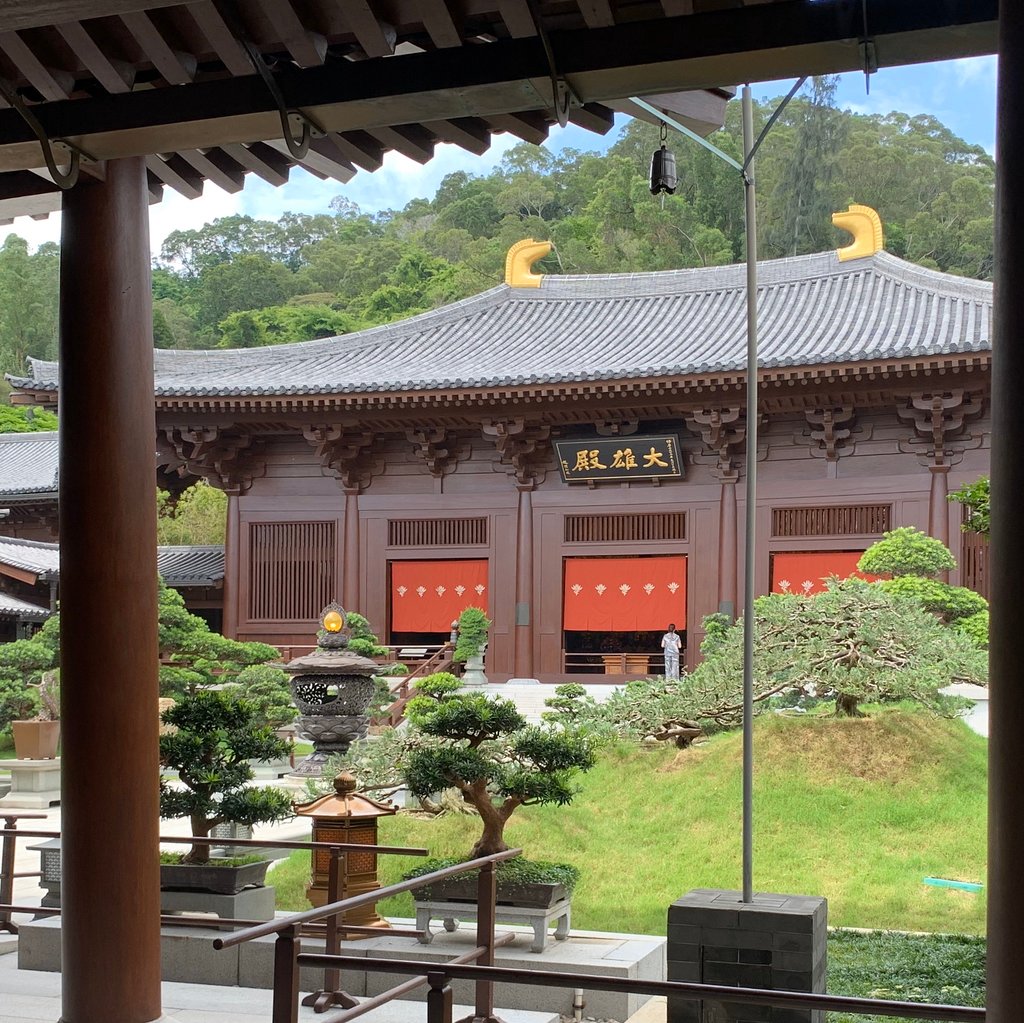 香港志莲净苑地图,香港志莲净苑好玩吗