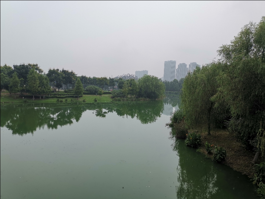 塘西河公园最新视频,塘西河湿地公园