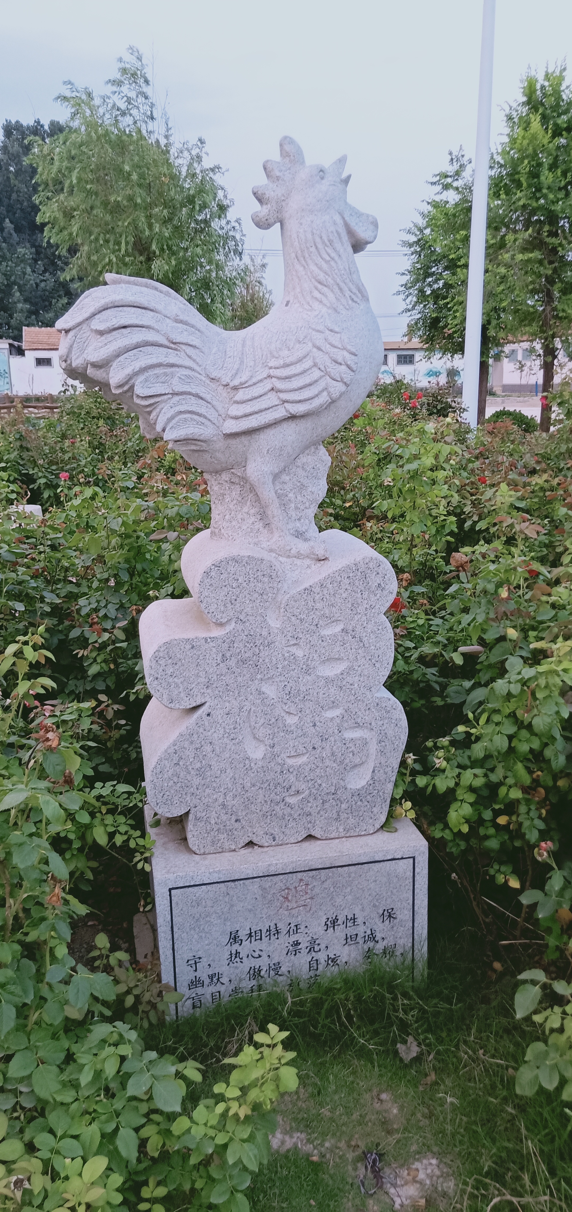 怎么介绍自己的属相给大家听,属相了解一个人