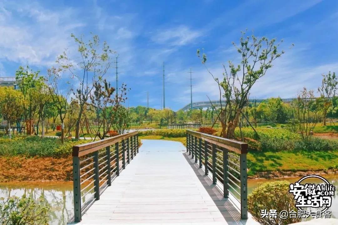 2020年，在这50个地方遇见不一样的合肥