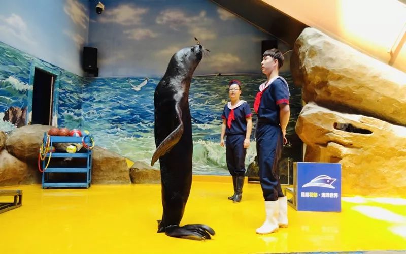 海洋剧场秀、丛林萌宠乐园、风车向阳花，昆明热闹新春，属于它